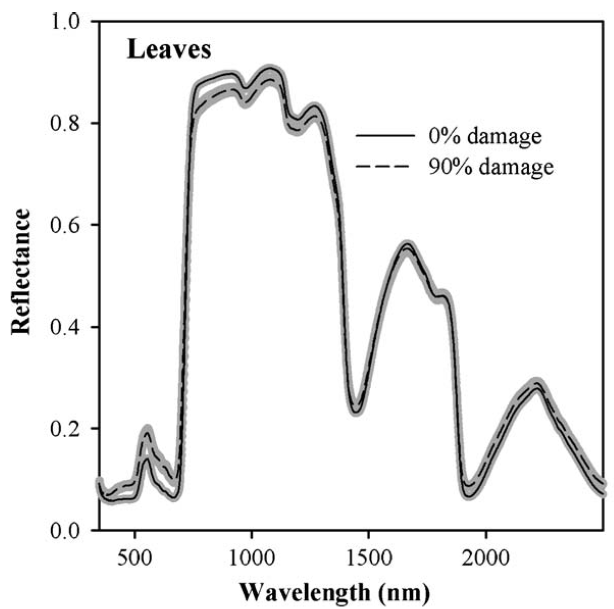 Hyperspectral reflectance spectra of healthy (0% damage) and highly mite-affected (90% damage) peach leaves in California (Luedeling et al., 2009c)