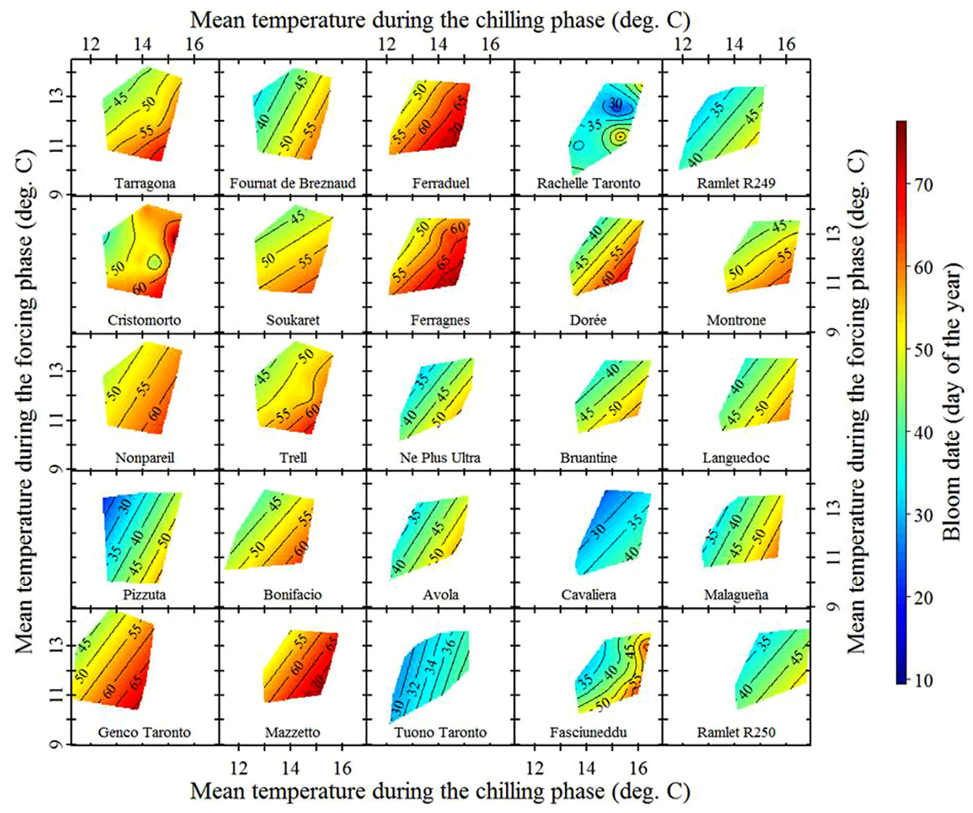 Temperature response of pistachios in Sfax, Tunisia, to temperatures during the chilling and forcing phases Benmoussa et al., 2017b